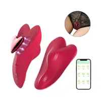 Vibrador de Calcinha: O vibrador para usar fora de casa