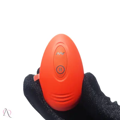 Vibrador De Calcinha Com Controle Remoto Pleasure Panty