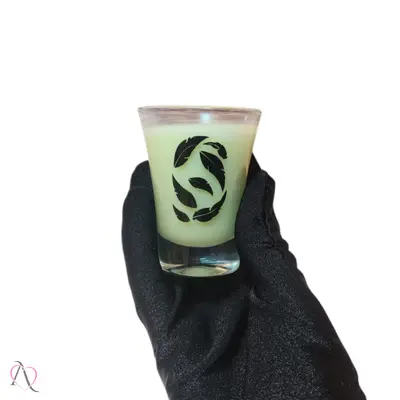 Vela para Massagem Sensual Beijável sabor Menta Intt 40g