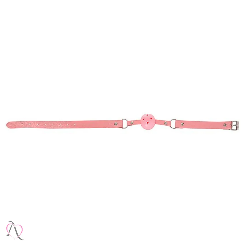 Kit Sado Eróticos 10 Itens para BDSM Cor: Rosa