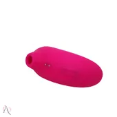 Vibrador Pulsador de Clitóris com 8 Modos de Pulsação Pequeno Pinguim - imagem 1