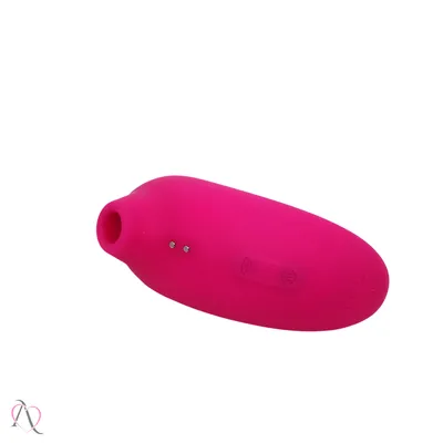 Vibrador Pulsador de Clitóris com 8 Modos de Pulsação Pequeno Pinguim
