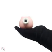 VIBRADOR PIGGY SUGADOR DE CLITÓRIS - imagem 1