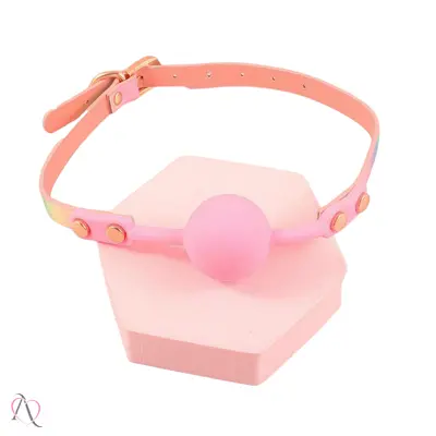 Kit Sado Erótico Holográfico com 6 Itens