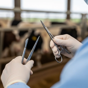 categoria Instrumentos Cirúrgicos