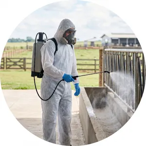 categoria DESINFETANTES E PESTICIDAS