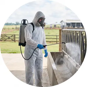 categoria DESINFETANTES E PESTICIDAS