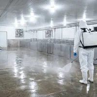 Biosseguridade na granja: como a desinfecção correta das instalações evita prejuízos