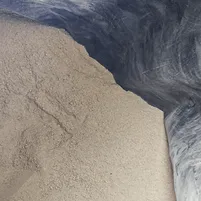 Núcleo Progress Crescimento 30kg Suínos Engorda De Heus - imagem 7