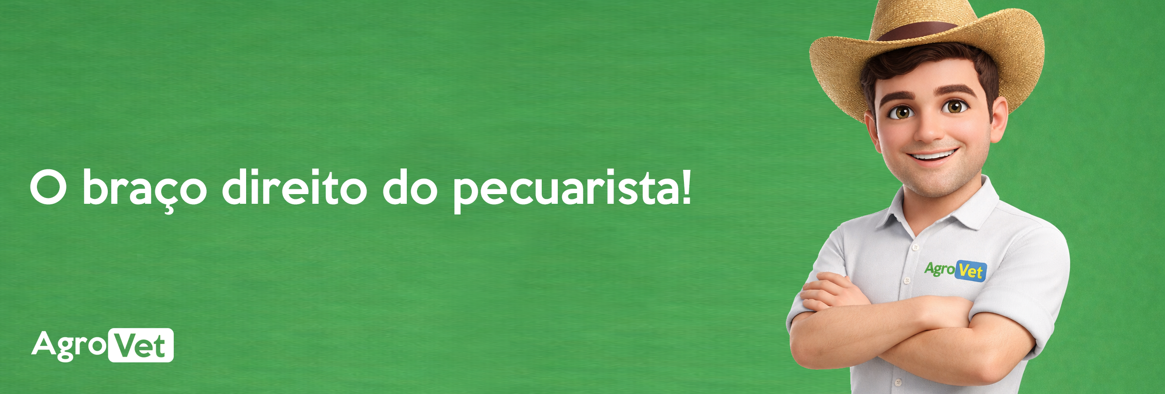 Banner 2