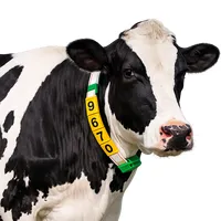 Colar de Identificação Para Bovinos - imagem 2