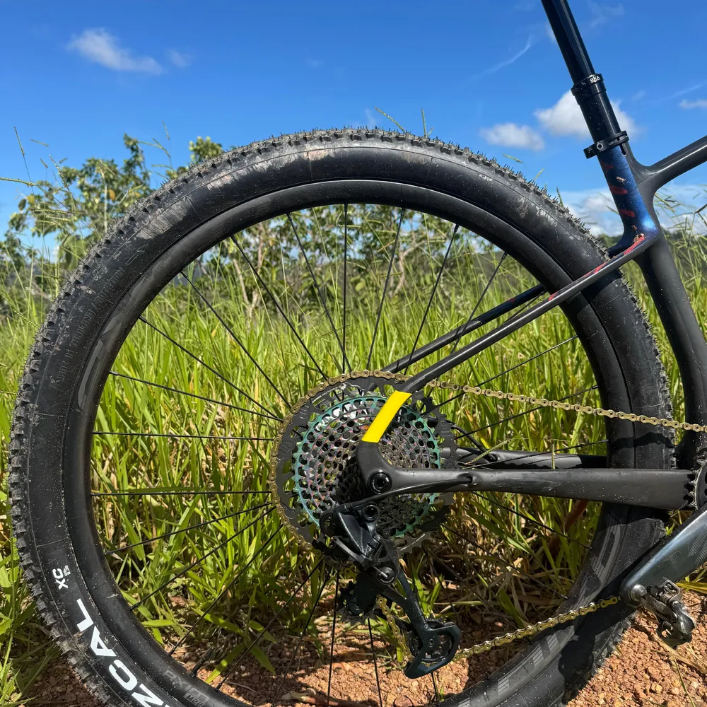 Roda de Carbono MTB 29ER 22mm INMETRO | Axion Cycle