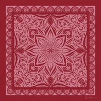 Lenço Mandacaru 60x60 - imagem 6