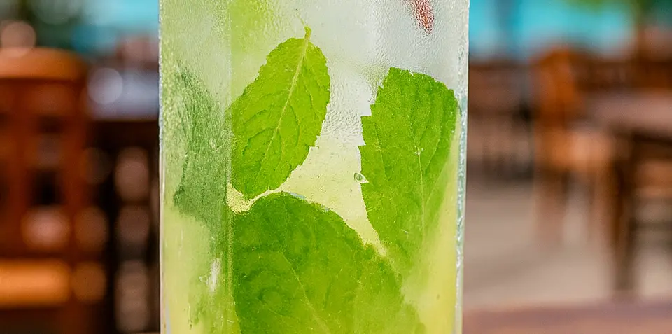 Rolé na Sul: rum, hortelã e frescor com gás