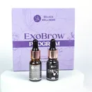EXO BROW PROGRAM - imagem 1