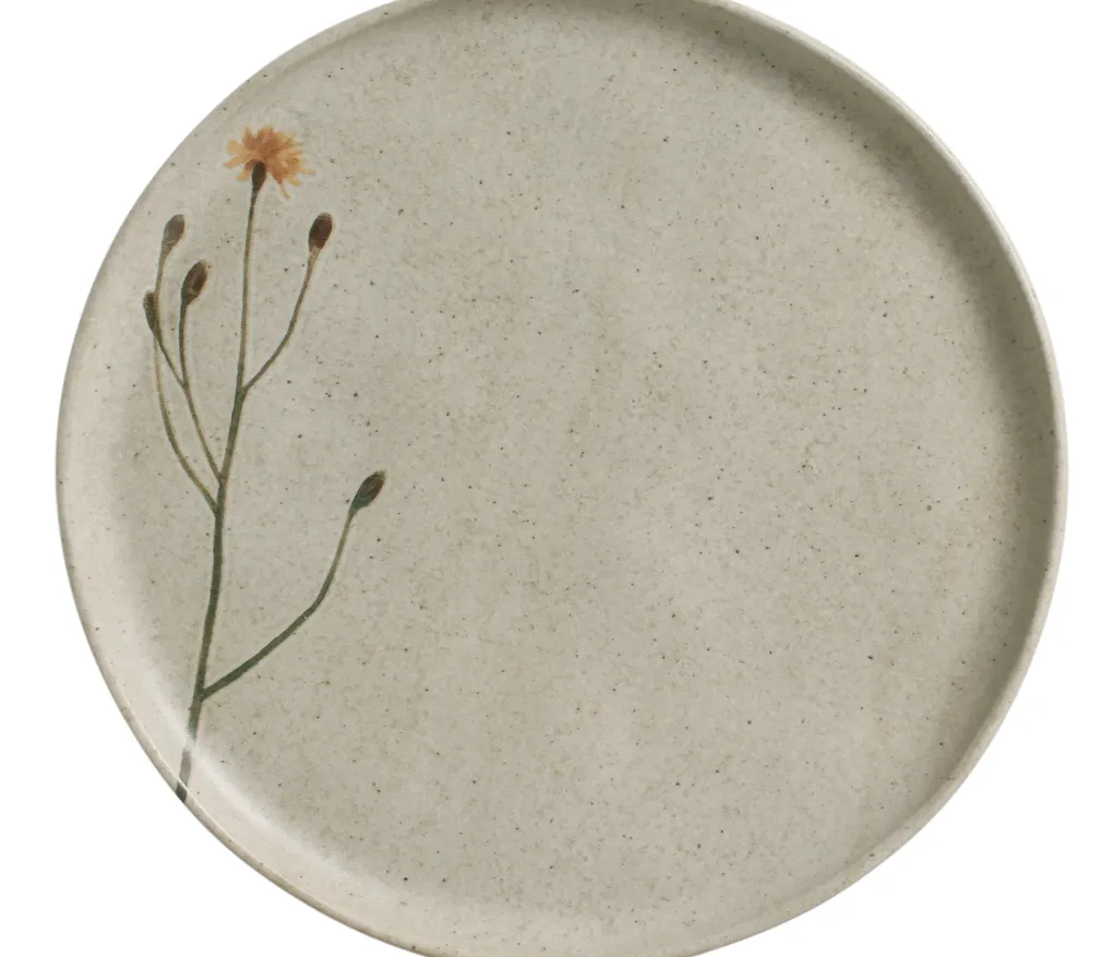 Conjunto com 6 Pratos Raso Bio Stoneware Campestre 