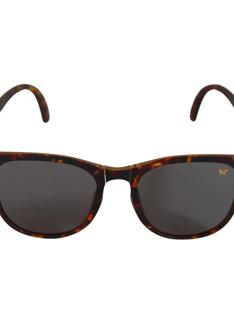 Óculos Butterfly Linha Essence Modelo Código