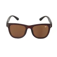 Óculos Butterfly Linha Urbana Modelo Elegance - imagem 1