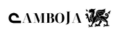 Logo no rodapé