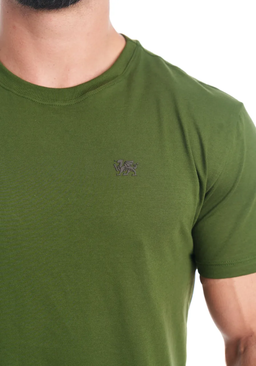 CAMISETA ALGODÃO VERDE-BANDEIRA