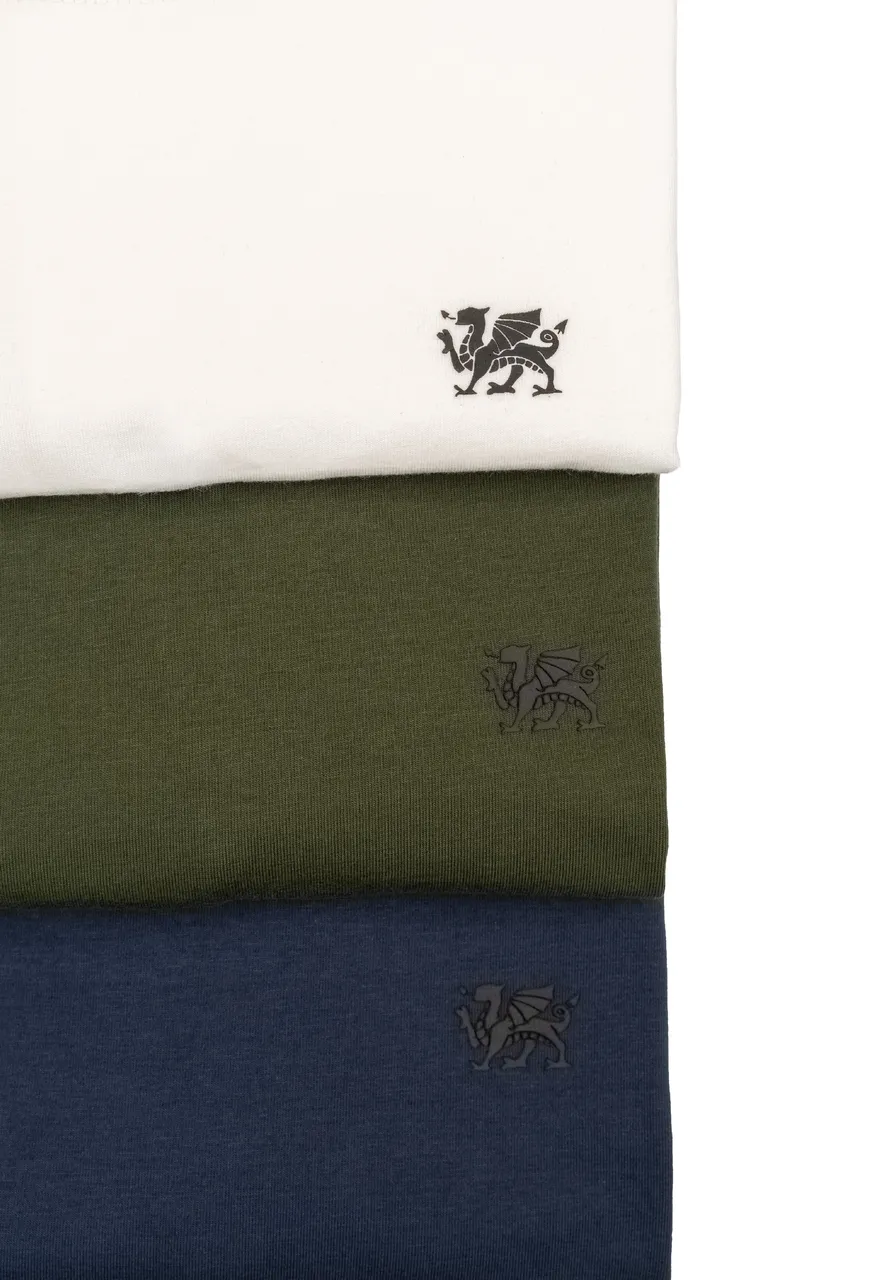 KIT 3 CAMISETAS PREMIUM MIX BRANCA - AZUL-MARINHO - VERDE-BANDEIRA
