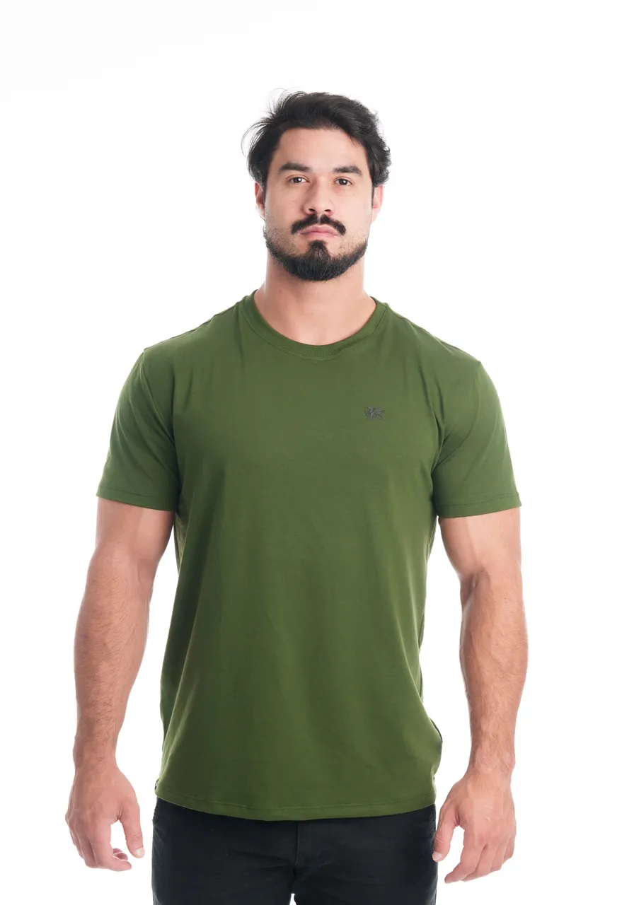 KIT 3 CAMISETAS VERDE-BANDEIRA