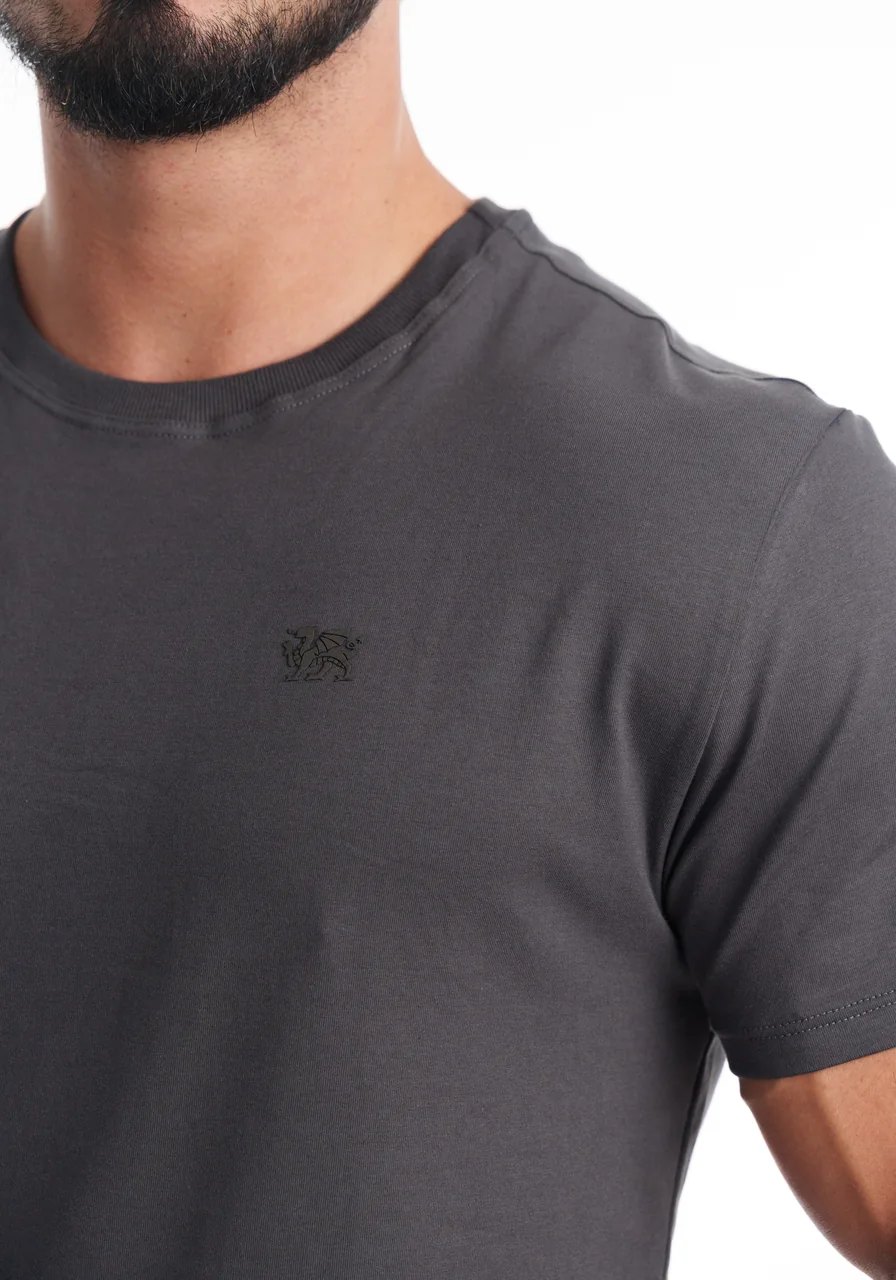 Detalhe da gola redonda, da malha e do logo emborrachado da camiseta Camboja Wear cinza