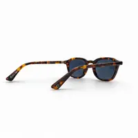 Óculos CAMPOS Tiger - imagem 4