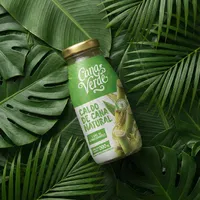 Caldo de Cana Natural 300ml Pasteurizado | Cana Verde - imagem 5
