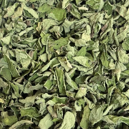 Blend - ALEGRIA - Embalagem com 10 sachês