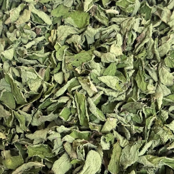 Blend - ALEGRIA - Embalagem com 10 sachês