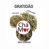 Blend - GRATIDÃO - Embalagem com 10 sachês - imagem 2