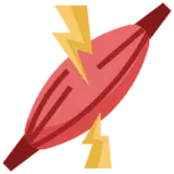 RECUPERAÇÃO MUSCULAR