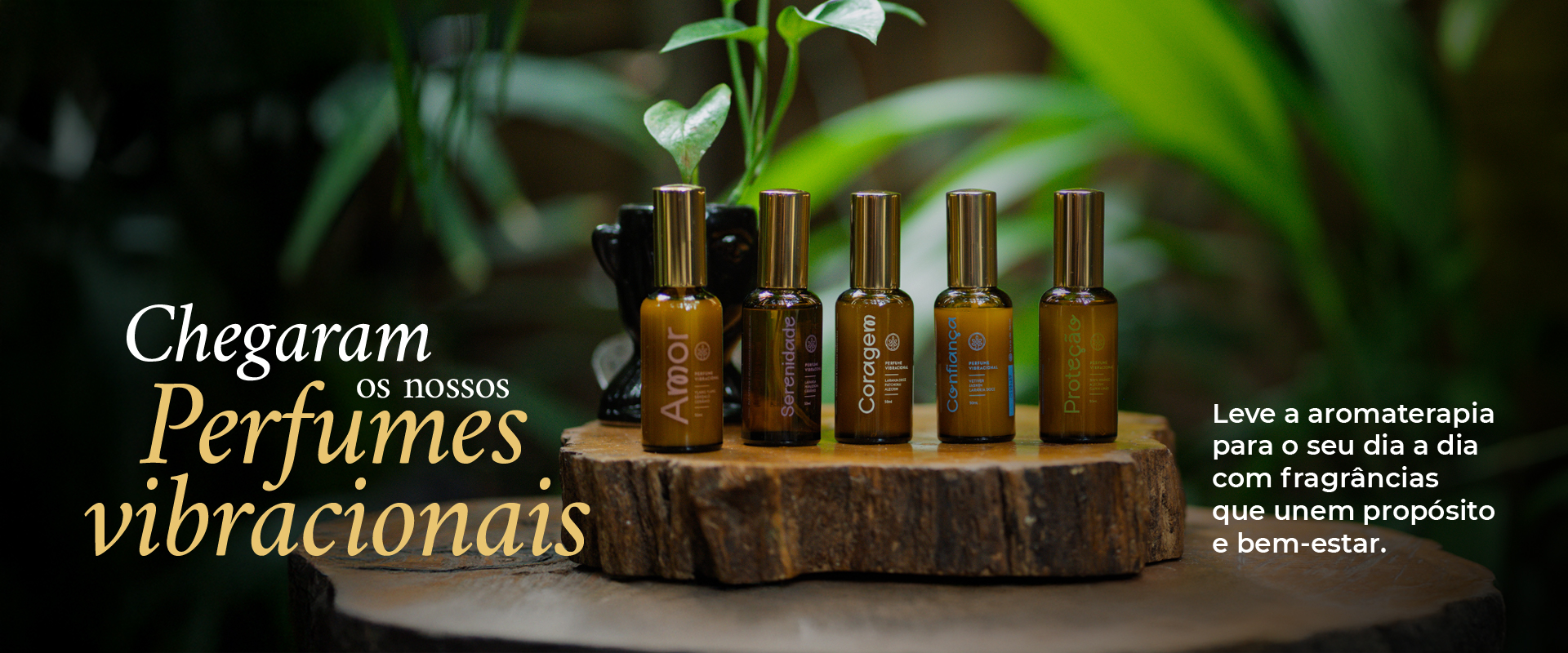 Banner Lançamento Perfumes 2