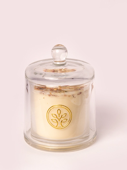 Vela Celebrar - Amora & Canela 190g