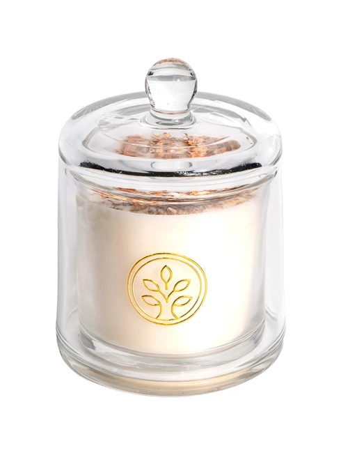 Vela Celebrar - Amora & Canela 190g