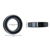 ROLAMENTO AGRICOLA DE ESFERA DE CARGA RADIAL - 6009 2RS - imagem 1