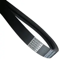 CORREIA PICADOR - H235564 - imagem 1