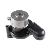 BOMBA AGUA TC59 - 87800489 - imagem 1