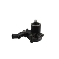 BOMBA AGUA MF C/MOTOR SISU 4CIL - 89701800 - imagem 1