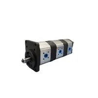 BOMBA HIDRAULICA TRIPLA - 9510080546 - imagem 1