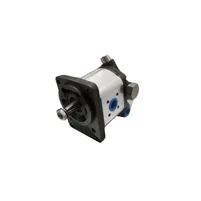 BOMBA HIDRAULICA MF - 9510080610 - imagem 1