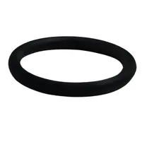 ANEL O MOLINETE - P48347 - imagem 1