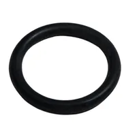 ANEL O MOLINETE - P48347 - imagem 2