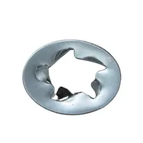 ARRUELA PRESSÃO DISCO - H131531 - imagem 2