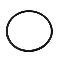 ANEL BOMBA HIDROSTATICA - Z53119 - imagem 2