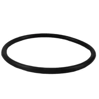 ANEL BOMBA HIDROSTATICA - Z53119 - imagem 1