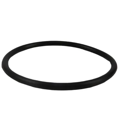 ANEL BOMBA HIDROSTATICA - Z53119