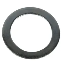 ARRUELA - L18453 - imagem 2