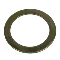 ARRUELA SUPORTE MOLINETE - Z39386 - imagem 2